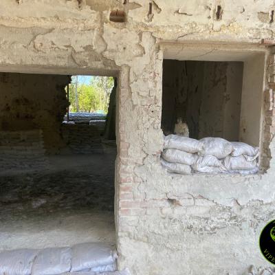 381014310 831543811706991 8593794600454103050 N